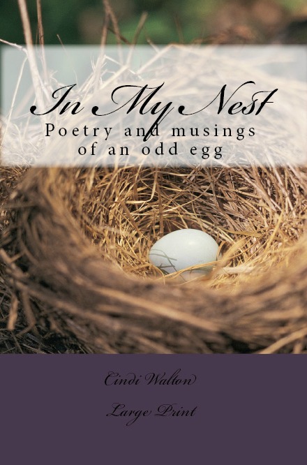 the nest cover front